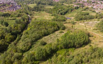 Northern Roots urban farm and eco-park secures funding from Towns Fund