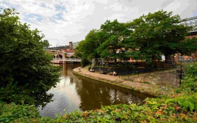 Greater Manchester approves plan to remove one million tonnes of carbon and accelerate response to climate crisis