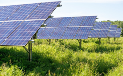 Plans for Salford’s solar farm moves forward with construction to begin in coming months