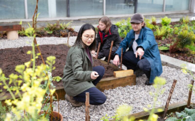 Long-term project launched to bring more green spaces and biodiversity to Manchester City Centre