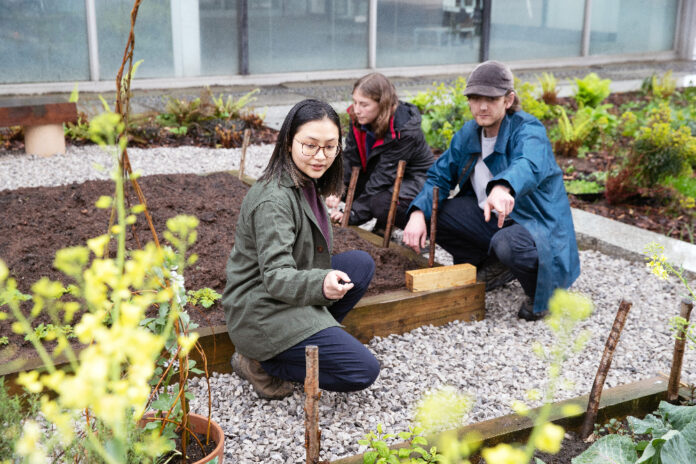 Long-term project launched to bring more green spaces and biodiversity to Manchester City Centre