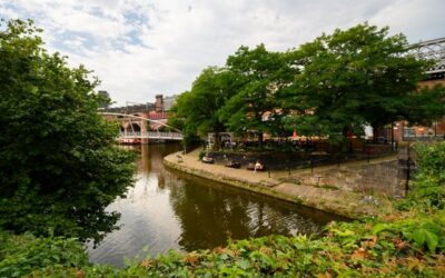 Manchester’s ten-year biodiversity plans unveiled