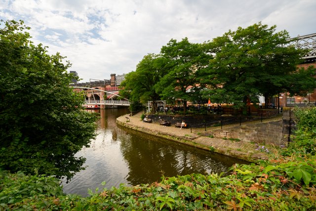 Manchester’s ten-year biodiversity plans unveiled