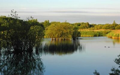 Former Wigan and Leigh industrial sites set to become one of the UK’s largest urban nature reserves