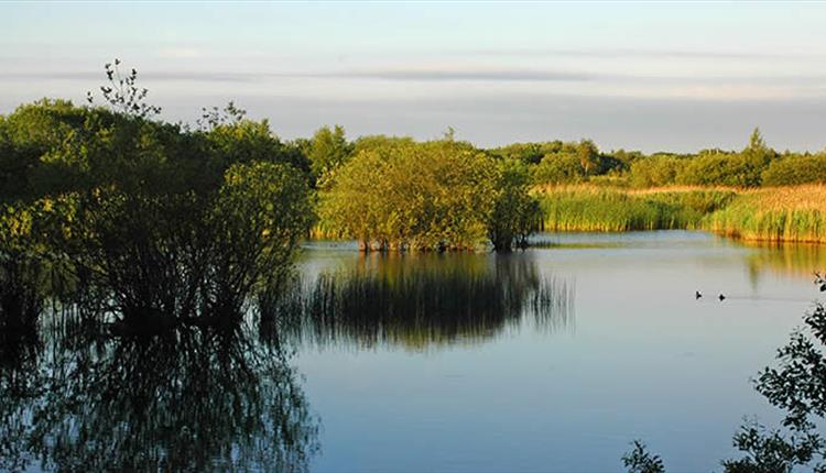 Former Wigan and Leigh industrial sites set to become one of the UK’s largest urban nature reserves