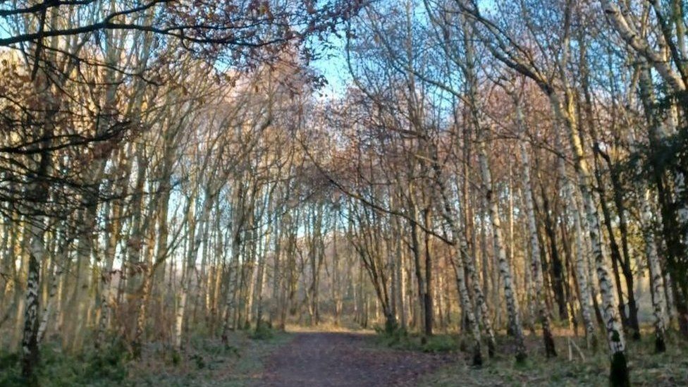 Manchester’s former tip Kenworthy Woods is declared nature reserve