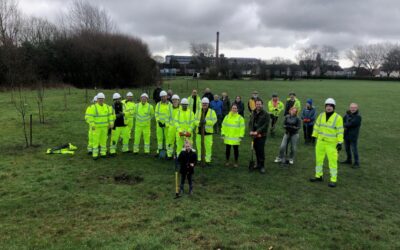 New orchard planted in Stockport to support biodiversity
