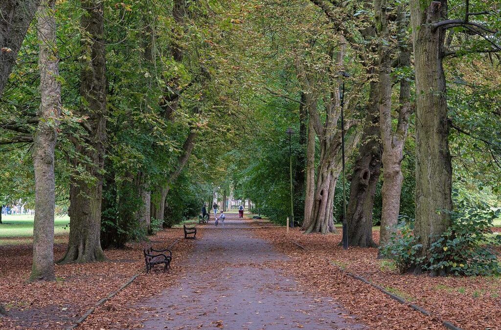 Longford Park to be transformed as part of multi-million-pound project