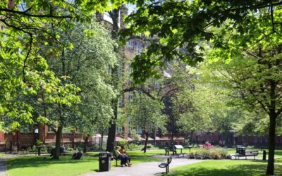 Manchester City Council sets out a plan to plant 64,000 new trees across the city by 2050