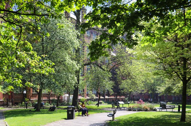 Manchester City Council sets out a plan to plant 64,000 new trees across the city by 2050