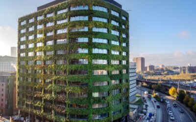 Salford has been shortlisted in the City of the Year as it leads green revolution