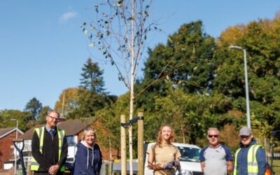 Salford City Council pledges to plant 8,000 trees by 2028