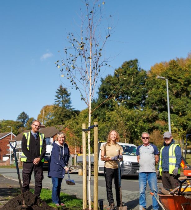 Salford City Council pledges to plant 8,000 trees by 2028