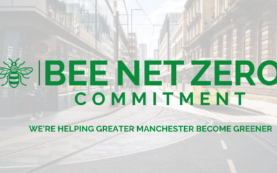 Bee Net Zero launches commitment to set GM businesses on sustainability journey