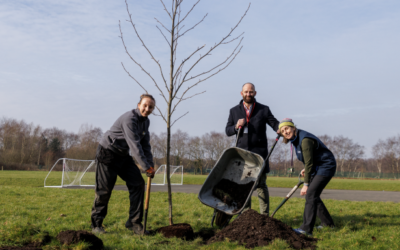 Salford school creates new woodland to help borough tackle climate change